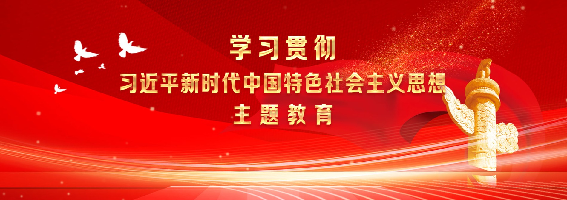 學(xué)習(xí)貫徹習(xí)近平新時(shí)代中國特色社會(huì)主義思想主題教育